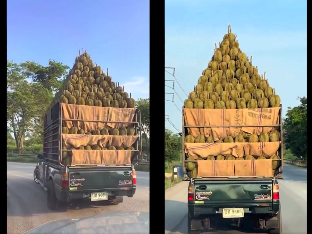 Ngeri! Mobil Pick Up Ini Angkut Durian Menggunung Bentuk Piramida